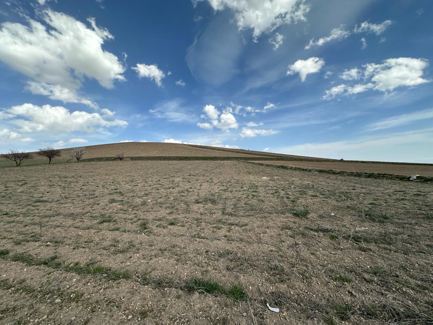 KAYSERİ DEVELİ ÇOMAKLI MAHALLESİ KIRMIZITEPE MEVKİİNDE 5412 m2 SATILIK TARLA